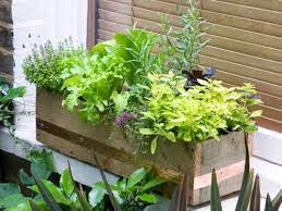 11 Creative Herb Garden In Window Box