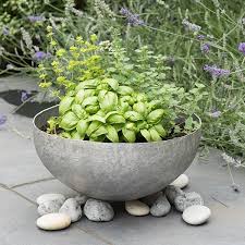 Buy Sphere Plant Bowl Delivery By Crocus