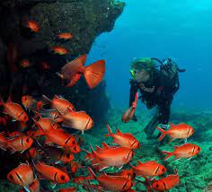 Santa Maria Discover Scuba Diving