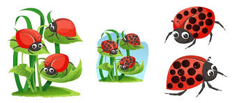 Cute Kawaii Ladybug Smiles Ladybug