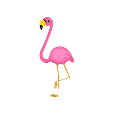 Flat Vector Icon Of Flamingo Tropical