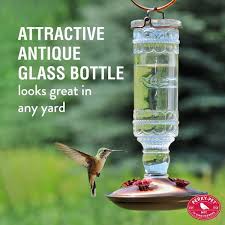 Perky Pet Clear Antique Bottle