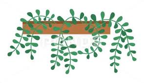 Decorative Green Plant With Long Leaves