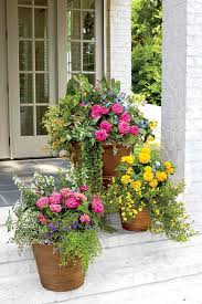 Sun Drenched Porches