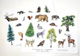 Forest Animal Stickers Bear Wolf Fox