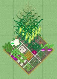 What Is Square Foot Gardening