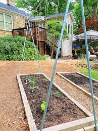 Easy Diy Tomato Cage Trellis Ideas