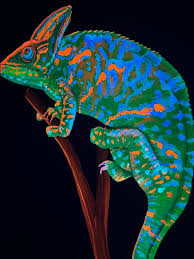 Veiled Chameleon Black Light Painting