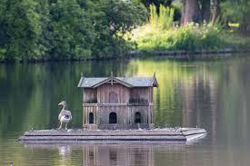 Duck House Images Browse 478 Stock