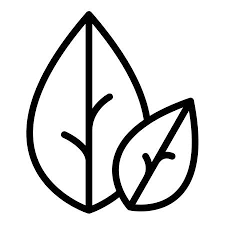 Botanical Oregano Icon Outline Vector