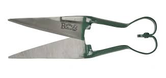 20 Must Have Garden Tools