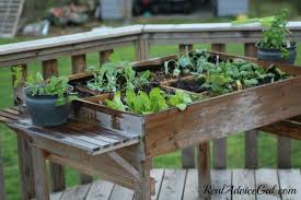 Tips For Table Gardening Real Advice Gal