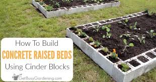 Cinder Block Raised Garden Bed