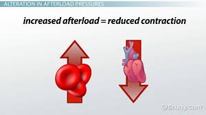 Afterload Definition Reduction