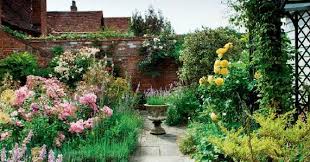 Small Garden Design Ideas And Plants