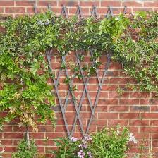 Fan Trellis Tan 1 8 X 0 9m Smart Garden