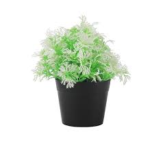 Buy Artificial Plant With Thick Light
