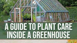 Greenhouse Plant Care Guide Indoor