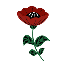Poppy Flower Icon Image Design Red And