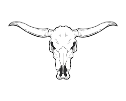 Longhorn Cattle Images Free