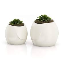 Two Plants In Bird Pots 3d Model By