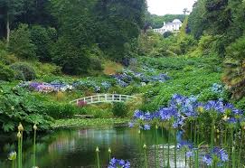 30 Best Gardens In Cornwall Places To
