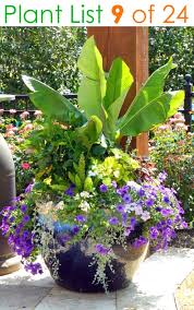 Container Garden Planting Ideas