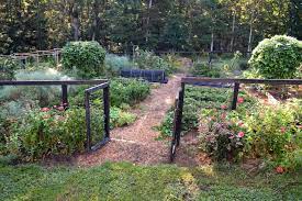 Quarter Acre Garden Plans 2020 The