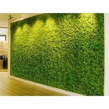 Pe Artificial Green Wall At Rs 125
