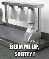 beam me up scotty kittyworks
