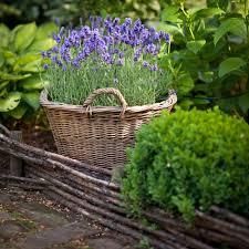 Hillside Nursery Garden Center