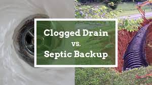 Clogged Drain Vs Septic Backup