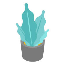 Succulent Plant Pot Icon Isometric Of