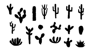 Cactus Icons Images Browse 172 618