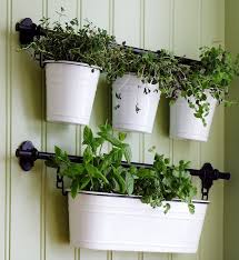Plant Decor Ikea Plants Herb Wall