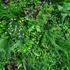 Garden Ideas For 2024 Embrace Nature