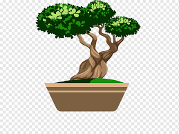 Japanese Bonsai Tree Icon Classical