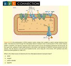 Cellular Respiration And Photosynthesis
