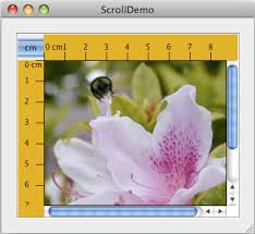 how to use scroll panes the java