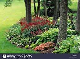 Recreate This Shade Garden Hostas Etc
