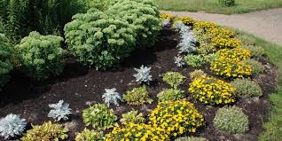 What Types Of Mulch Are Best For Your Yard