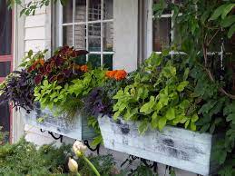 Window Box Ideas The Dirt Bag