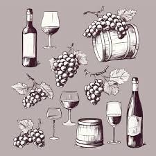 Vector Hand Drawn Wine Elements