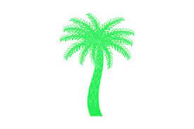 Tree Icon Palm Outdoor Green Color