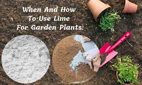 Use Lime For Garden Plants