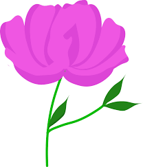 Pink Saqura Flower Stem Icon Or Symbol