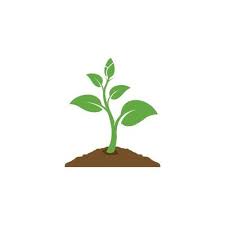 Plant Icon Vector Art Icons And