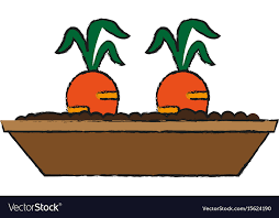 Carrots Growing In Pot Icon Image