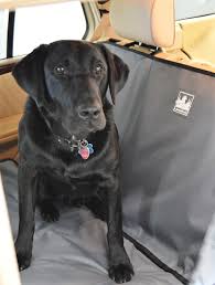 Bench Seat Covers For Dogs In Trucks