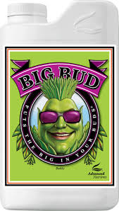 Big Bud Advanced Nutrients Award